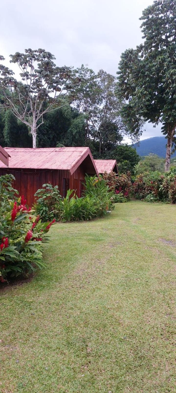 Cabinas La Catarata Ла Фортуна Экстерьер фото